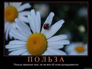 Польза 