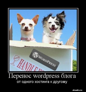 Перенос wordpress блога