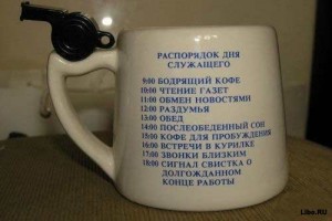 Распорядок дня