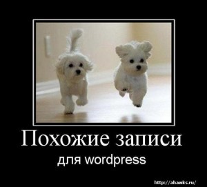 Похожие записи