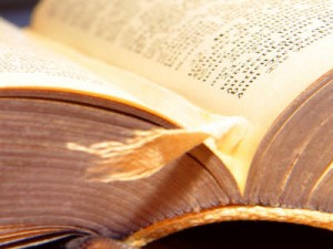 постраничная навигация wordpress