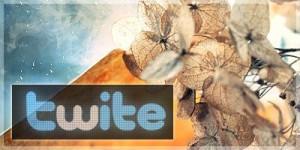 Монетизация твиттера в бирже twite